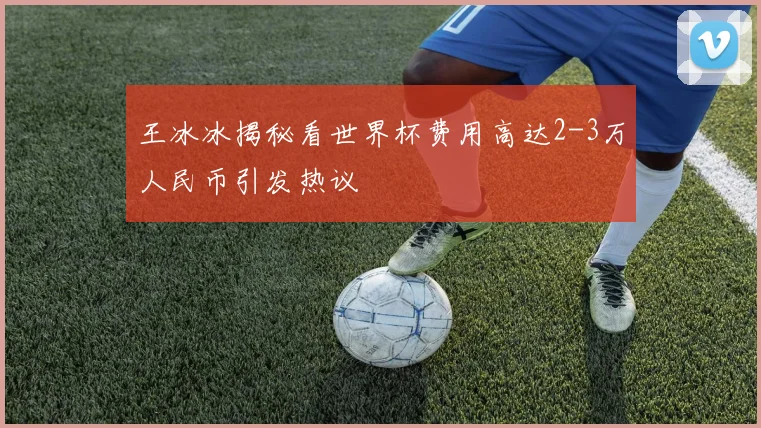 王冰冰揭秘看世界杯费用高达2-3万人民币引发热议